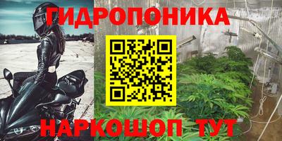 бошки Бердск