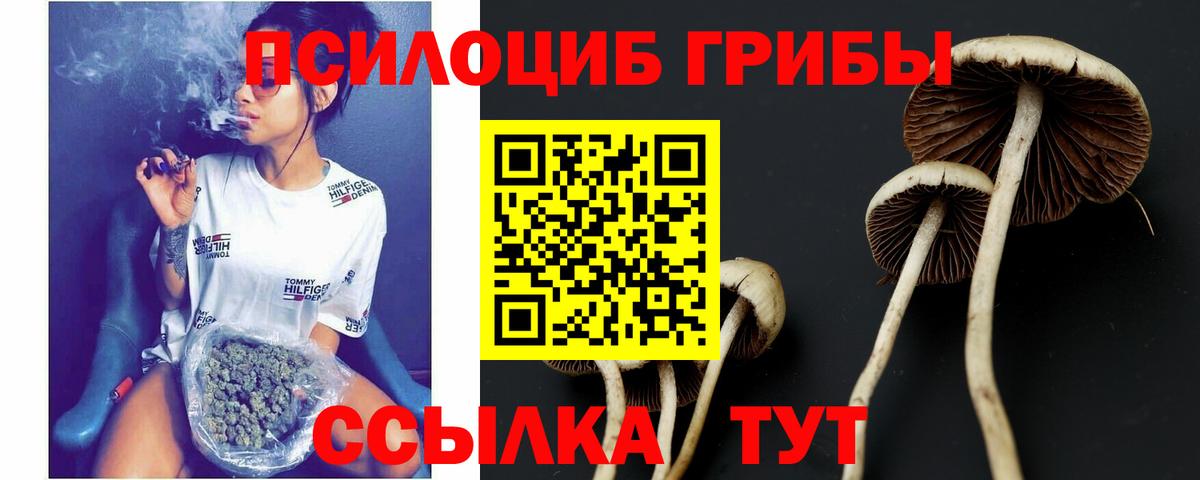 Псилоцибиновые грибы мицелий  Вход с VPN  Архангельск 